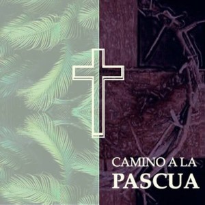 Santo  Parte 3 (Plegaria Eucaristica)