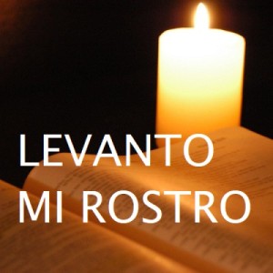 Levanto Mi Rostro Wave